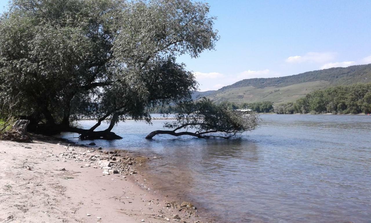 Fewo Batek Trechtingshausen Экстерьер фото